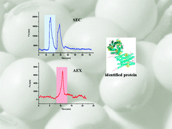 Graphical abstract: Improving metallomics information related to transgenic and non-transgenic soybean seeds using 2D-HPLC-ICP-MS and ESI-MS/MS