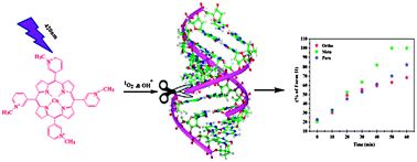 Graphical abstract: Photo-induced DNA scission by Cu(ii)-meso-tetrakis(n-N-methylpyridiniumyl)porphyrins (n = 2, 3, 4) and their binding modes to supercoiled DNA