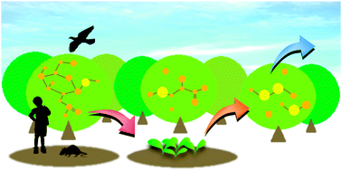 Graphical abstract: Analysis of animal and plant selenometabolites in roots of a selenium accumulator, Brassica rapa var. peruviridis, by speciation