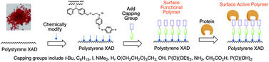 Graphical abstract: Post-polymerisation modification of surface chemical functionality and its effect on protein binding