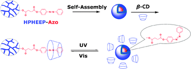 Graphical abstract: Construction of photo-responsive micelles from azobenzene-modified hyperbranched polyphosphates and study of their reversible self-assembly and disassembly behaviours