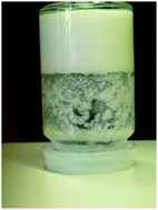 Graphical abstract: Unusual solidification and phosphate binding to benzimidazole cations in the presence of water