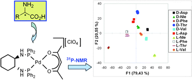 Graphical abstract: 31P NMR spectroscopy and pattern-recognition techniques as tools for the identification and enantiodiscrimination of α-amino acids