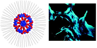 Graphical abstract: Evidence of ionic liquid crystal properties for a DODA+ salt of the keplerate [Mo132O372(CH3COO)30(H2O)72]42−