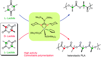 Graphical abstract: Synthesis of mono(guanidinate) rare earth metal bis(amide) complexes and their performance in the ring-opening polymerization of l-lactide and rac-lactide