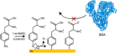 Graphical abstract: Characterization of electrografted 4-aminophenylalanine layers for low non-specific binding of proteins