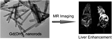 Graphical abstract: Facile and large-scale synthesis of Gd(OH)3 nanorods for MR imaging with low toxicity