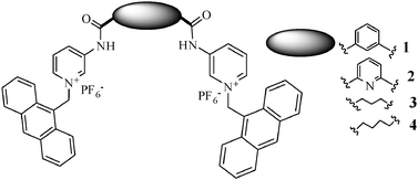 Graphical abstract: Design and synthesis of anthracene-based bispyridinium amides: anion binding, cell staining and DNA interaction studies