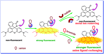 Graphical abstract: Fluorescence sensing of iodide and bromide in aqueous solution: anion ligand exchanging and metal ion removing