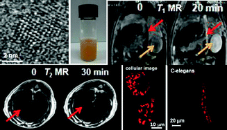 Graphical abstract: A T1, T2 magnetic resonance imaging (MRI)-fluorescent imaging (FI) by using ultrasmall mixed gadolinium–europium oxide nanoparticles