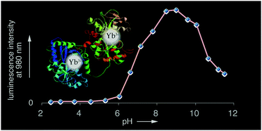 Graphical abstract: Ytterbium-substituted transferrin and lactoferrin for near-infrared luminescent pH indication