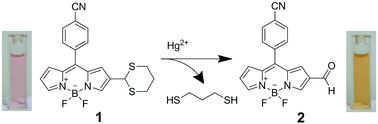 Graphical abstract: A dual channel chemodosimeter for Hg2+ and Ag+ using a 1,3-dithiane modified BODIPY
