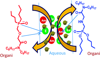 Graphical abstract: Synthesis and evaluation of ligands with mixed amide and phosphonate, phosphinoxide, and phosphonothioate sites for An(iii)/Ln(iii) extraction