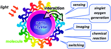 Graphical abstract: Quantum dot–molecule hybrids: a paradigm for light-responsive nanodevices