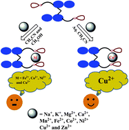 Graphical abstract: Synthesis, characterization of the amido-conjugates of 1,1′-methylene-bis(2-naphthol) and recognition of Cu2+ in aqueous acetonitrile