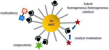 Graphical abstract: Catalytic self-assembled monolayers on gold nanoparticles