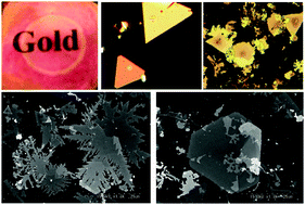 Graphical abstract: Synthesis of large-scale transparent gold nanosheets sandwiched between stabilizers at a solid–liquid interface