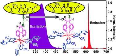 Graphical abstract: Luminescence of a novel Eu(diketonato)–epoxiphenanthroline complex and covalent coupling to peptides via the epoxigroup
