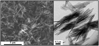 Graphical abstract: Synthesis of alumina nanosheets via supercritical fluid technology with high uranyl adsorptive capacity