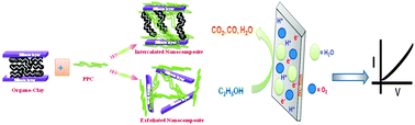 Graphical abstract: A thermally and mechanically stable eco-friendly nanocomposite for chemical sensor applications