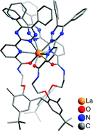 Graphical abstract: 1,2,4-Triazine-picolinamide functionalized, nonadentate chelates for the segregation of lanthanides(iii) and actinides(iii) in biphasic systems