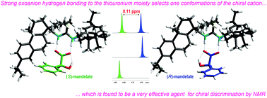 Graphical abstract: Chiral thiouronium salts: synthesis, characterisation and application in NMR enantio-discrimination of chiral oxoanions