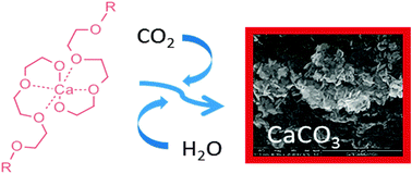 Graphical abstract: New calcium alkoxides for consolidation of carbonate rocks. Influence of precursors' characteristics on morphology, crystalline phase and consolidation effects