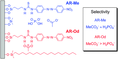 Graphical abstract: Optical detection of anions using N-(4-(4-nitrophenylazo)phenyl)-N′-propyl thiourea bound silica film