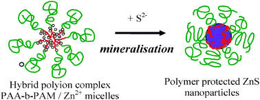 Graphical abstract: Stable aqueous colloids of ZnS quantum dots prepared using double hydrophilic block copolymers