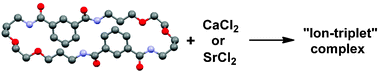 Graphical abstract: A tetraamido isophthaloyl-based macrocyclic calcium chloride and strontium chloride tritopic receptor