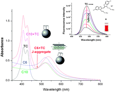 Graphical abstract: Adsorption and fluorescence quenching of 5,5′-disulfopropyl-3,3′-dichlorothiacyanine dye on gold nanoparticles