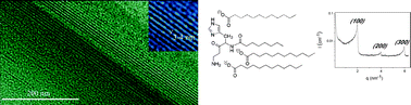 Graphical abstract: A supramolecular hydrogel based on an original pseudopeptidic catanionic surfactant