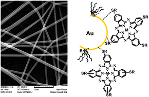 Graphical abstract: The photophysical and photochemical behaviour of coumarin-derivatized zinc phthalocyanine when conjugated with gold nanoparticles and electrospun into polymer fibers