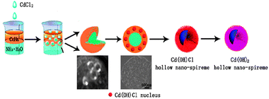 Graphical abstract: Synthesis of Cd(OH)Cl hollow nano-spiremes from a dipolar binary liquid system and their conversion to Cd(OH)2 hollow nano-spiremes