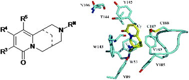 Graphical abstract: Cytisine: a natural product lead for the development of drugs acting at nicotinic acetylcholine receptors