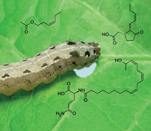 Graphical abstract: Natural elicitors, effectors and modulators of plant responses