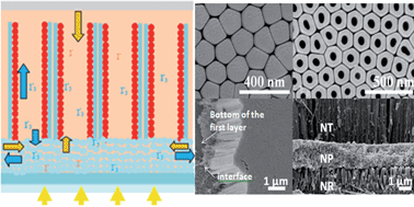 Graphical abstract: Open-ended TiO2 nanotubes formed by two-step anodization and their application in dye-sensitized solar cells