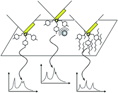 Graphical abstract: The concept of a near-field Raman probe