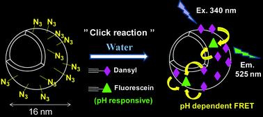 Graphical abstract: FRET-mediated pH-responsive dual fluorescent nanoparticles prepared via click chemistry