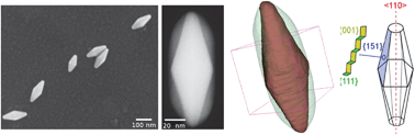 Graphical abstract: 3D morphology of Au and Au@Ag nanobipyramids