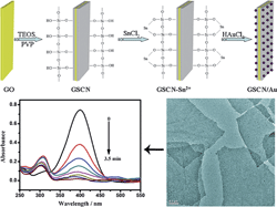 Graphical abstract: In situ loading of well-dispersed gold nanoparticles on two-dimensional graphene oxide/SiO2 composite nanosheets and their catalytic properties