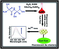 Graphical abstract: The as-prepared gold cluster-based fluorescent sensor for the selective detection of AsIII ions in aqueous solution