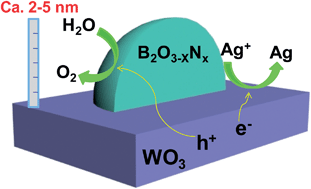 Graphical abstract: Boron oxynitride nanoclusters on tungsten trioxide as a metal-free cocatalyst for photocatalytic oxygen evolution from water splitting