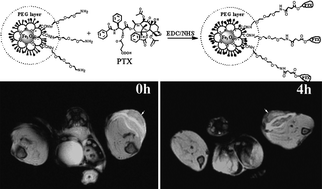 Graphical abstract: Conjugation of paclitaxel to iron oxide nanoparticles for tumor imaging and therapy