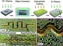 Graphical abstract: Bioinspired steel surfaces with extreme wettability contrast