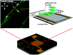 Graphical abstract: Directed crystallization of poly(3-hexylthiophene) in micrometre channels under confinement and in electric fields