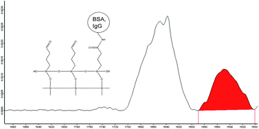 Graphical abstract: Determination of surface concentrations of individual molecule-layers used in nanoscale biosensors by in situ ATR-FTIR spectroscopy