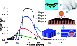 Graphical abstract: Light trapping structures in wing scales of butterfly Trogonoptera brookiana