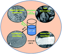 Graphical abstract: Synthesis of CuO nanowalnuts and nanoribbons from aqueous solution and their catalytic and electrochemical properties