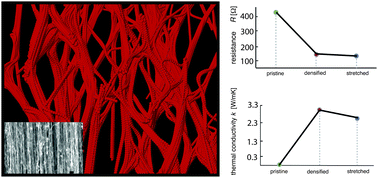 Graphical abstract: Bundling dynamics regulates the active mechanics and transport in carbon nanotube networks and their nanocomposites